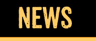 News Page Icon